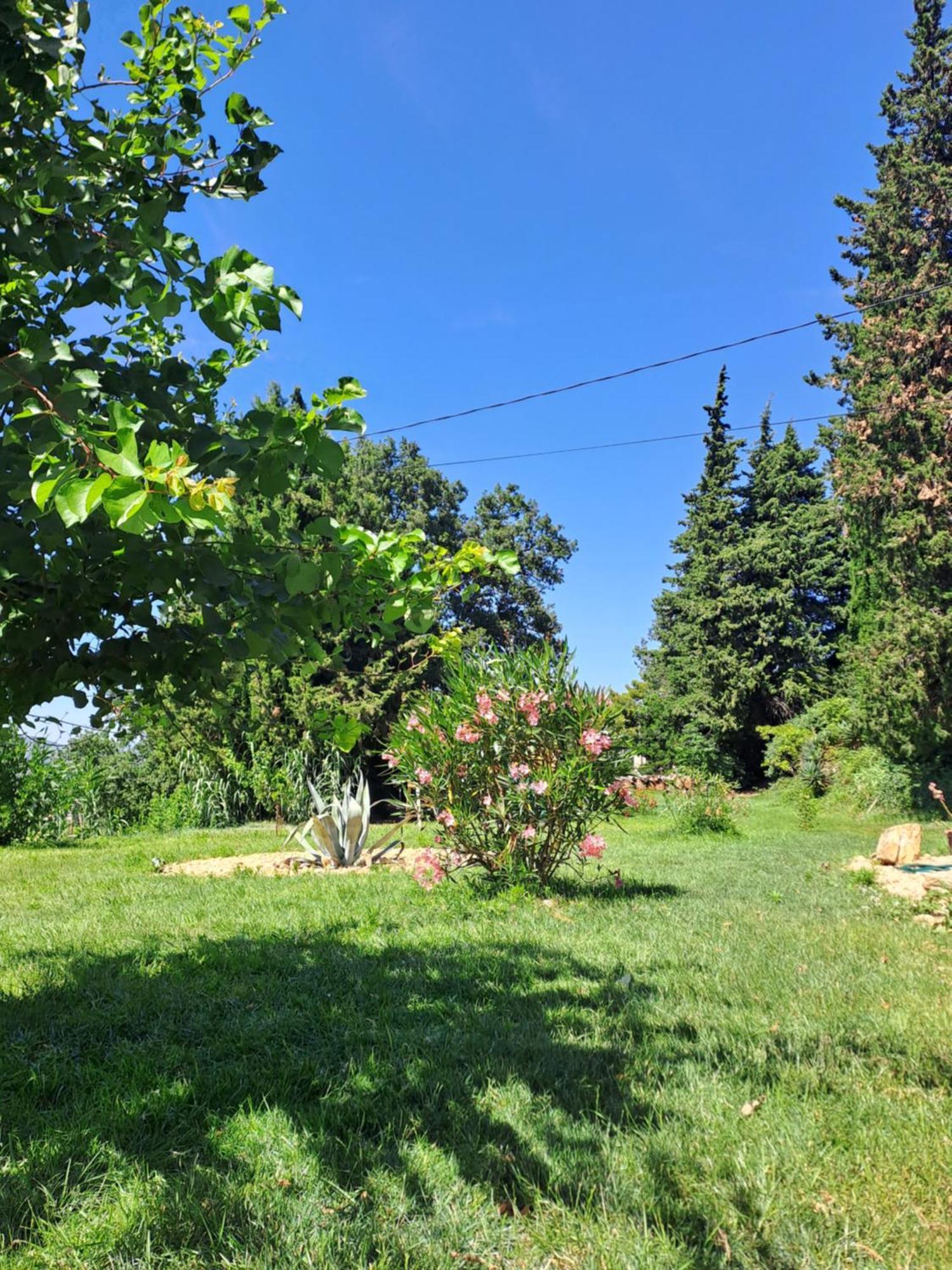 Apartment Le Tilia
